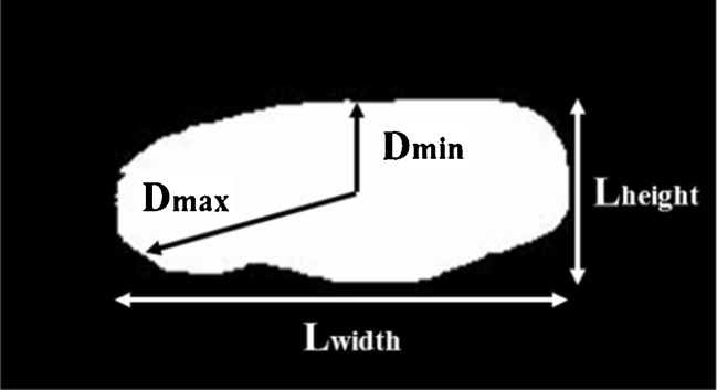 Fig. 7