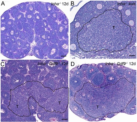 FIG. 5