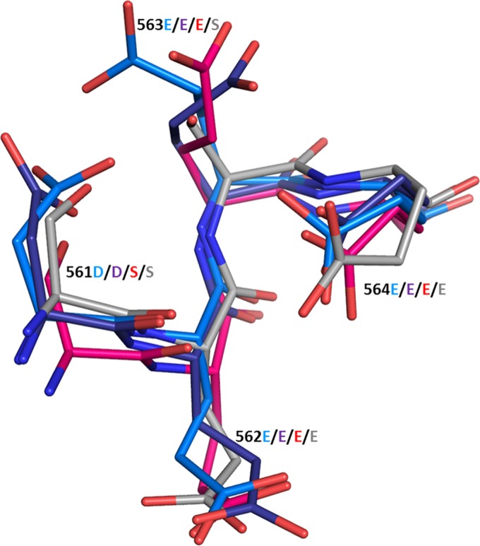 FIG 10