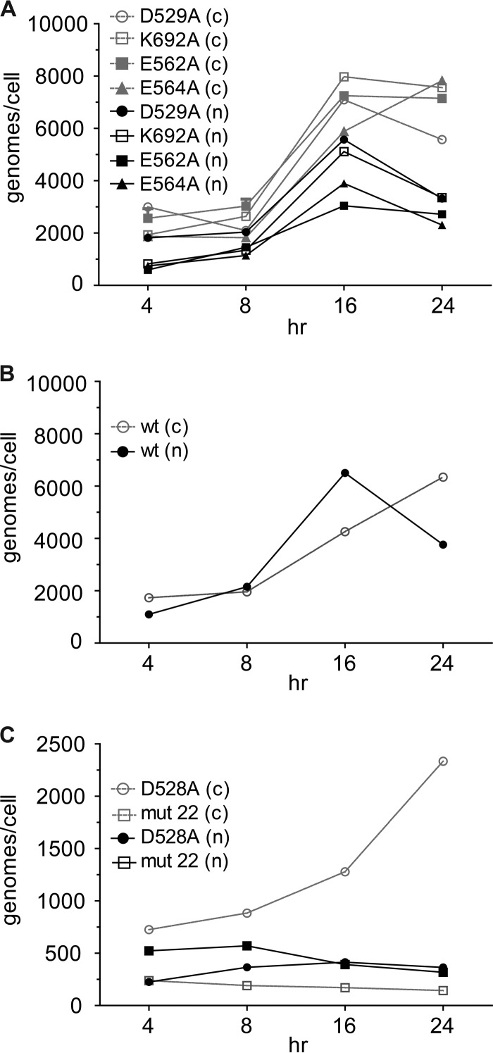 FIG 4