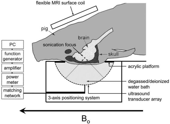 Fig 1.