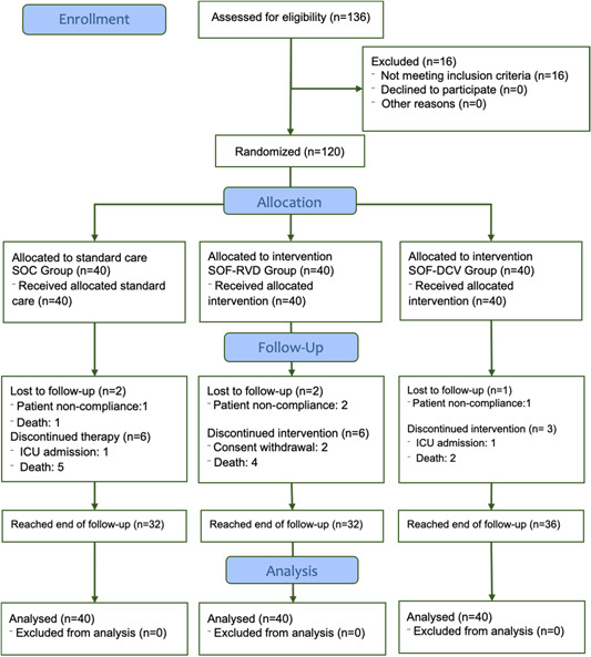 Efficacy and safety of sofosbuvir plus daclatasvir or ravidasvir in ...