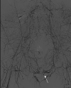<b>FIG. 1.</b>