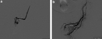 <b>FIG. 2.</b>