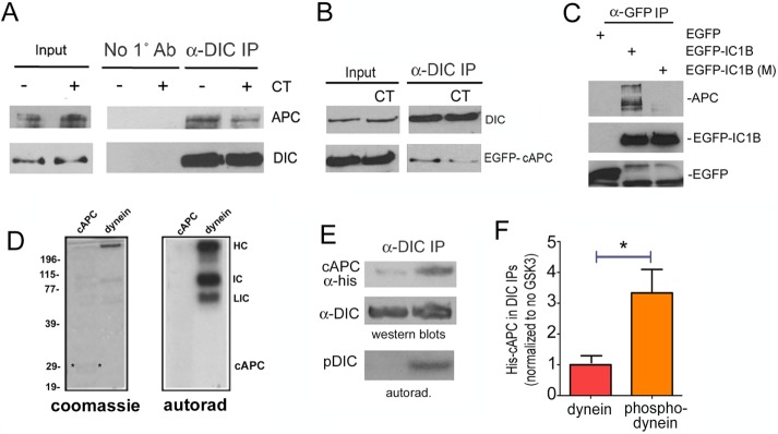 FIGURE 6: