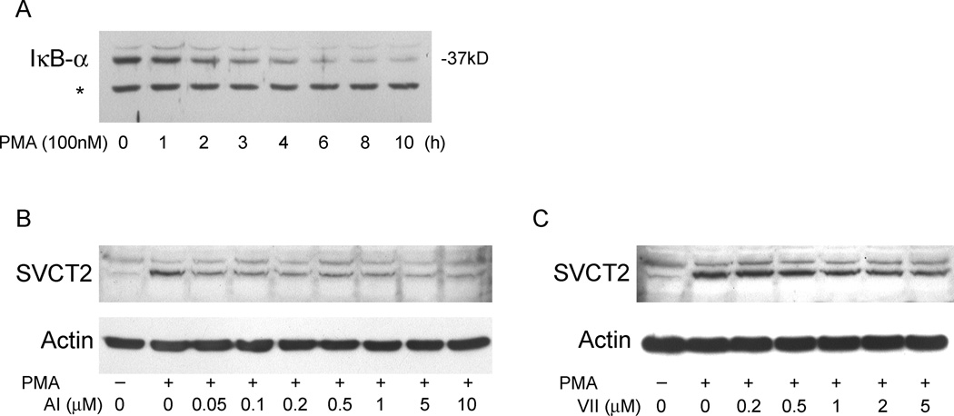 Fig. 9