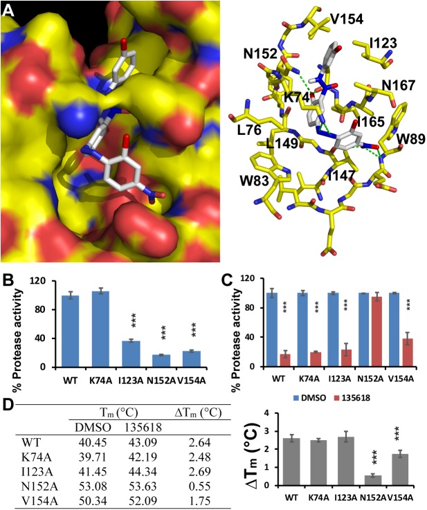 Fig 10