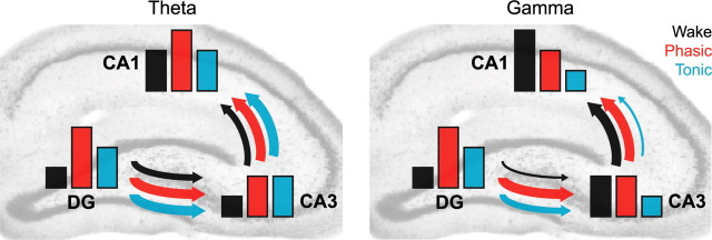 Figure 7.