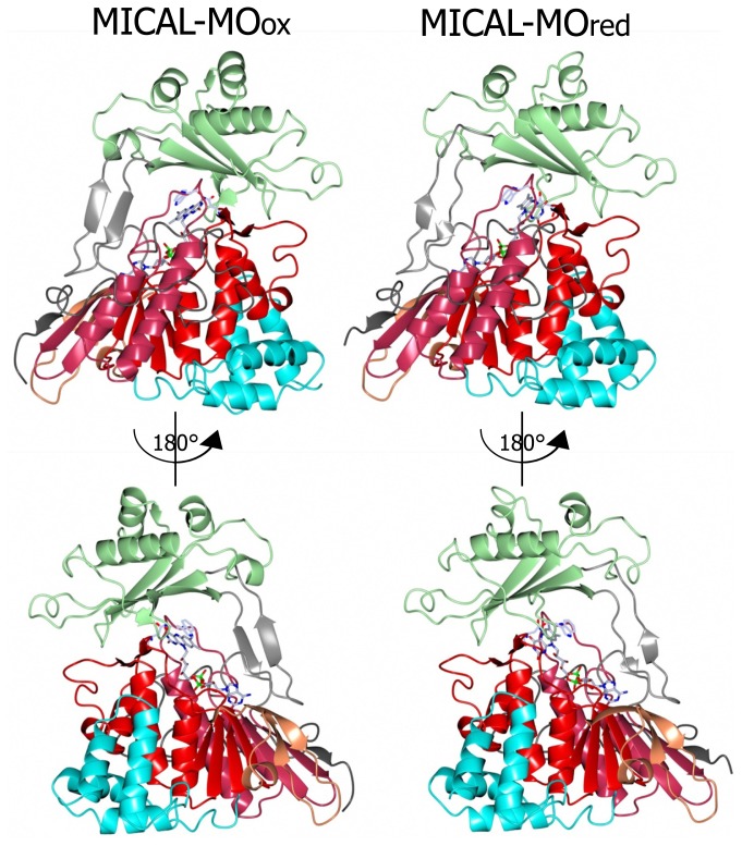 Figure 6