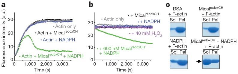 Figure 12