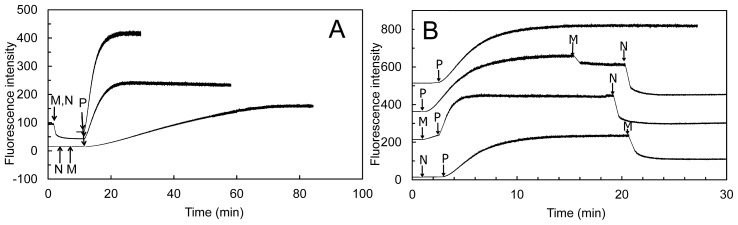 Figure 13