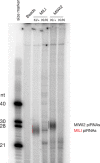 FIG. 3