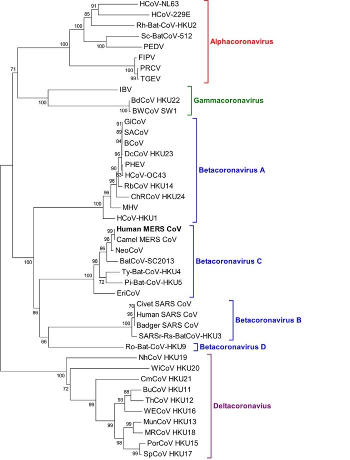 Fig. 1