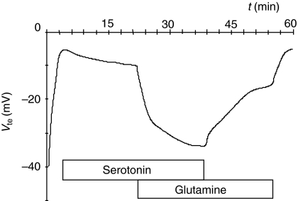 Fig. 6.