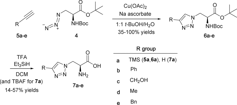 Scheme 2.