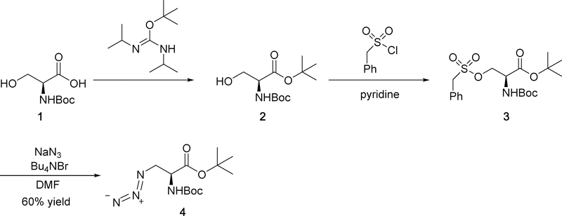 Scheme 1.