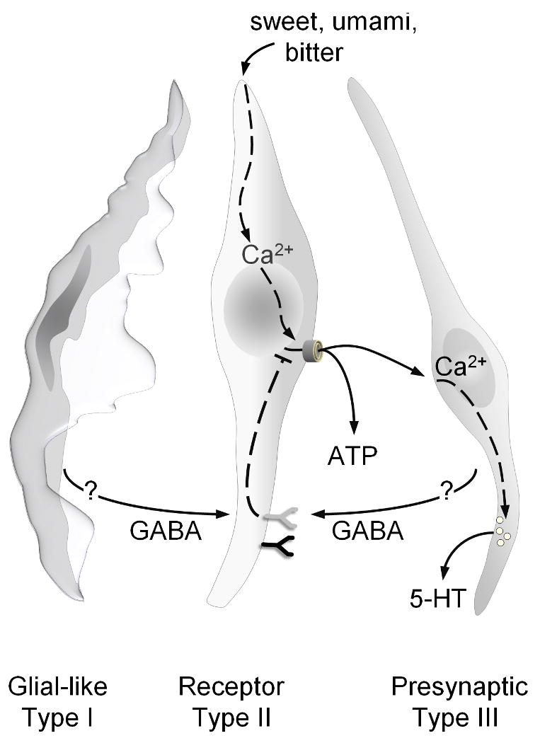 Figure 8