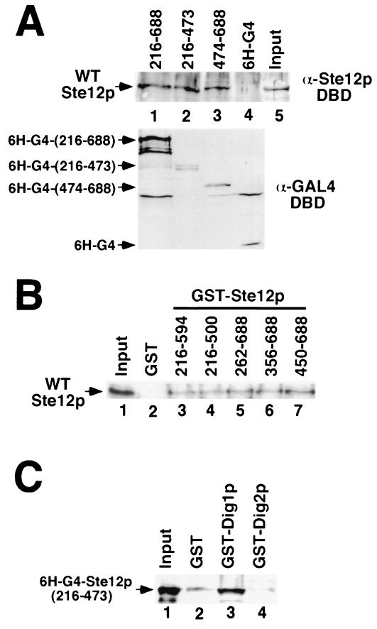 FIG. 7