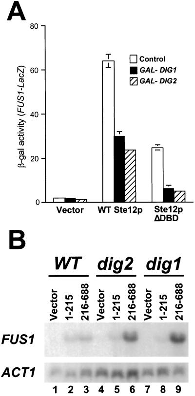 FIG. 6