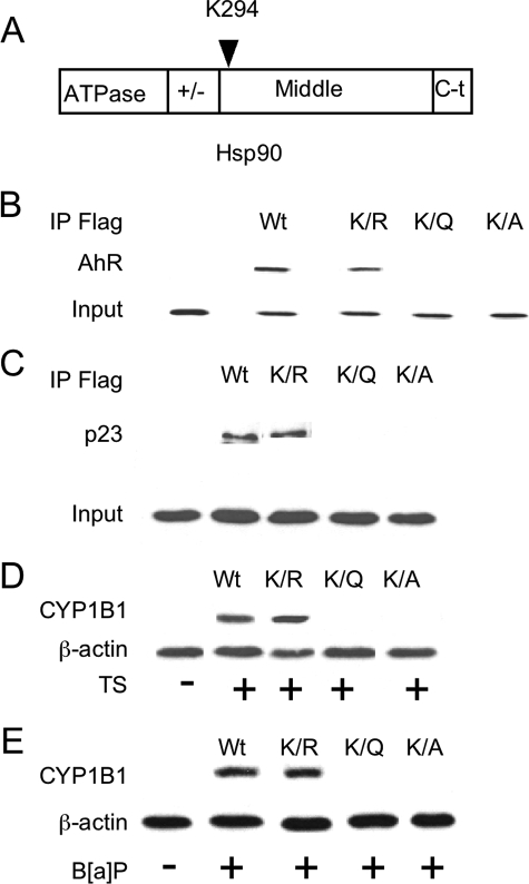 FIGURE 9.