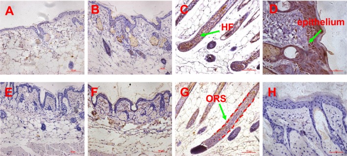 Fig 6