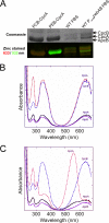 FIG. 4.