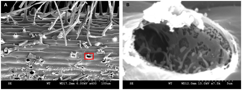 Figure 16.