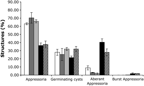 Figure 10.