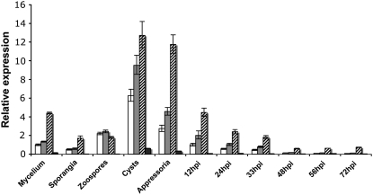 Figure 5.