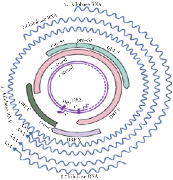 Figure1.