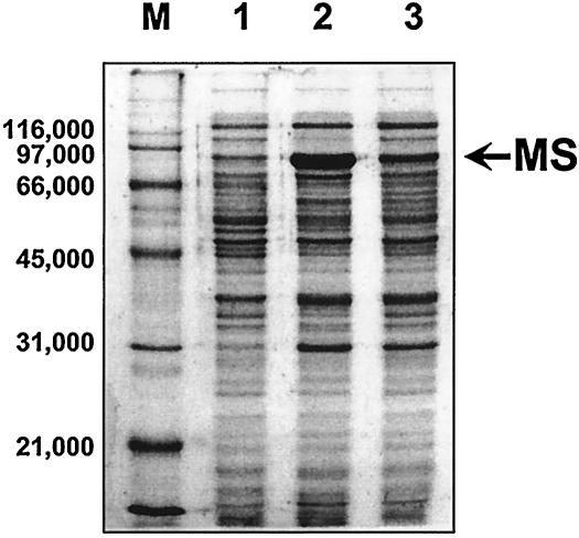 FIG. 5.