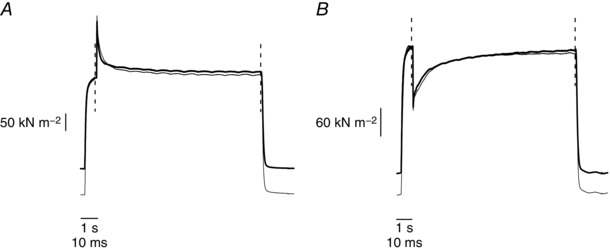 Figure 8