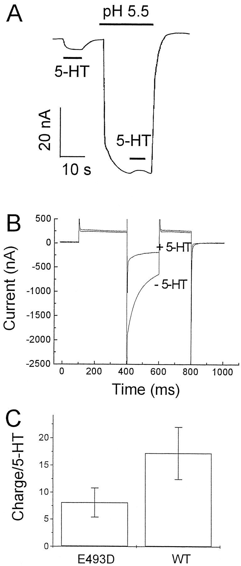 Fig. 8.