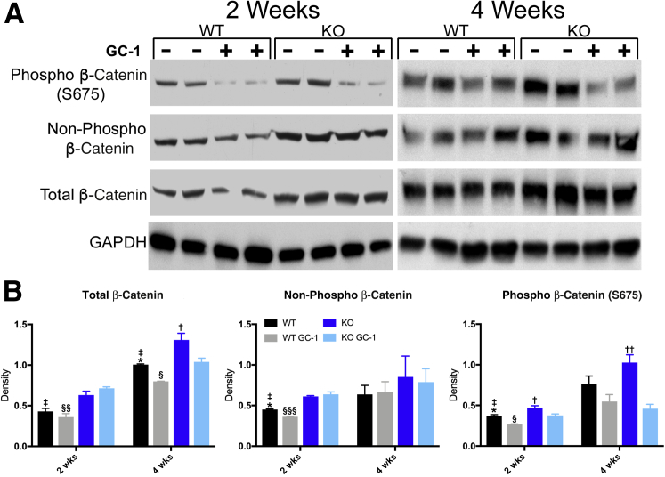 Figure 6