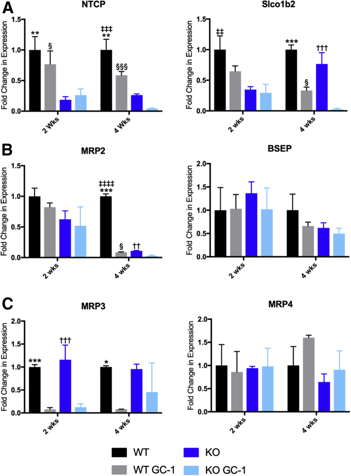 Figure 4