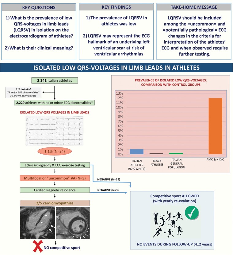 Graphical Abstract