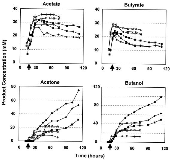 FIG. 6.