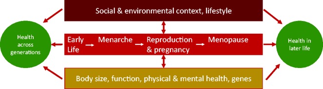 Figure 2.