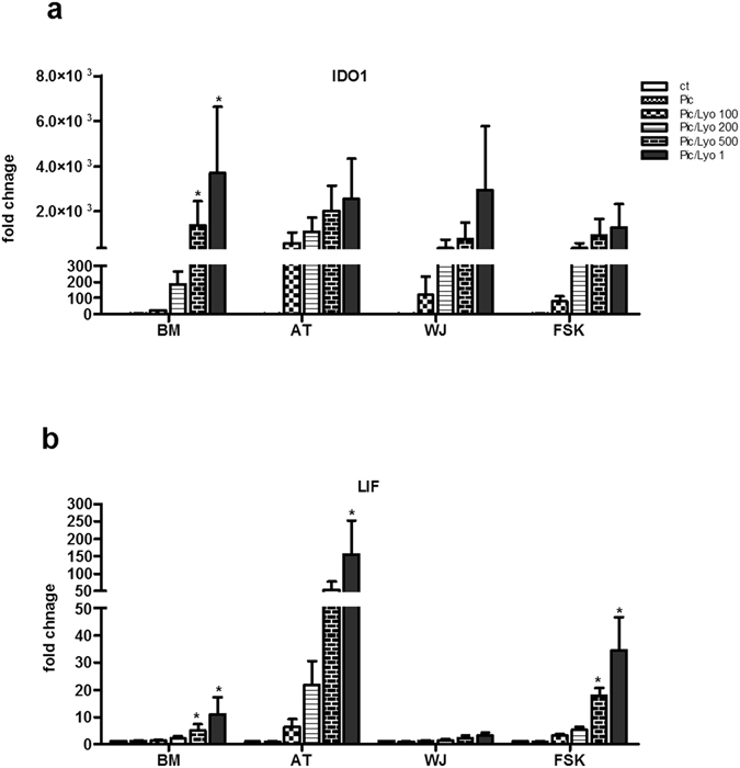 Figure 10