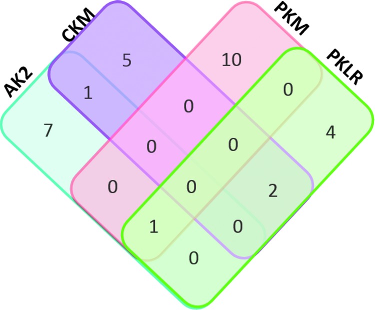 FIG. 3.