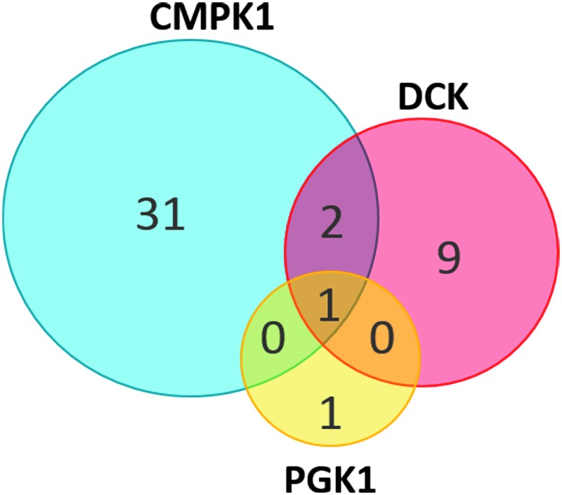 FIG. 2.