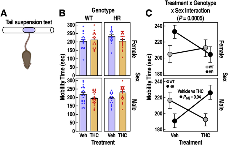 Figure 5: