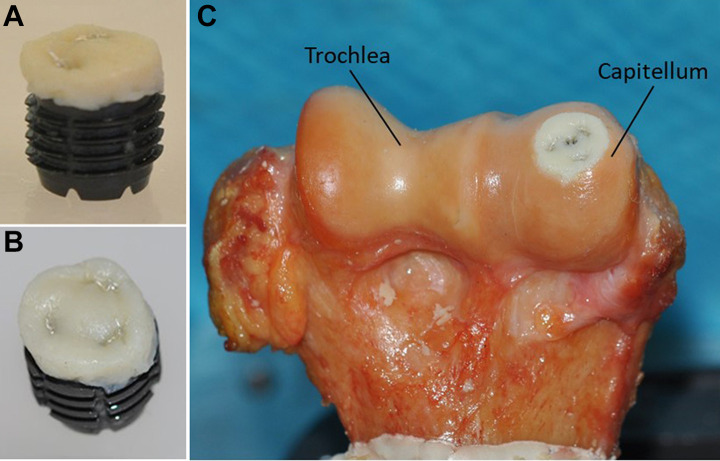 Figure 2.