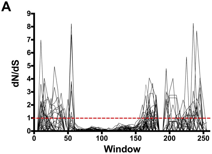 Fig 5