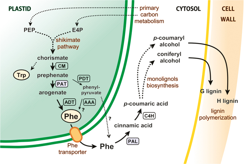 Fig. 1.