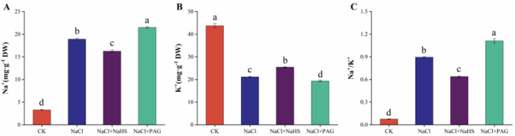 Figure 6