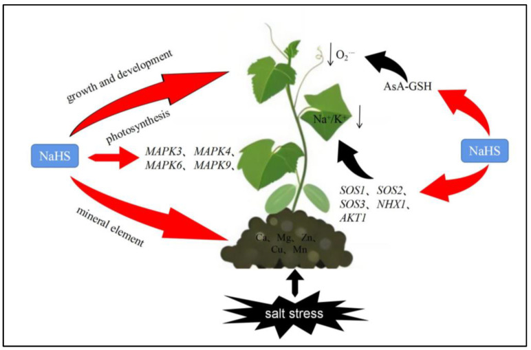 Figure 10