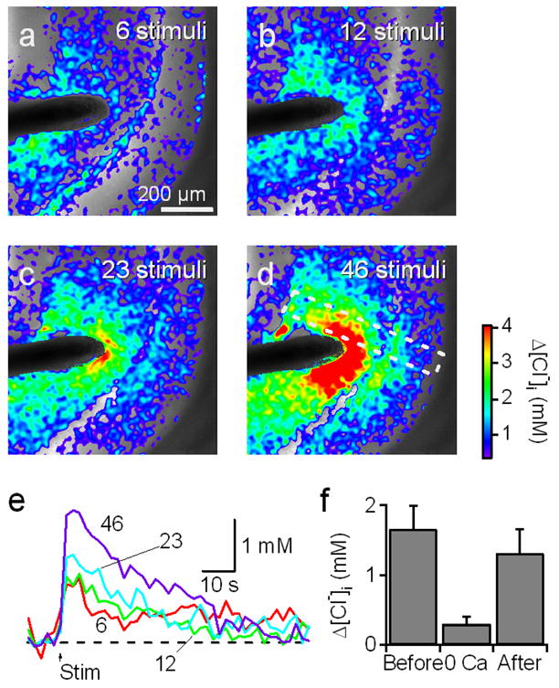 Fig. 10