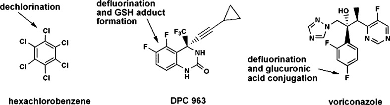 Fig. 7