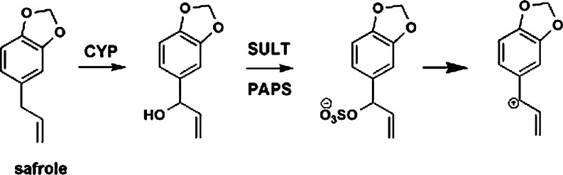 Fig. 10